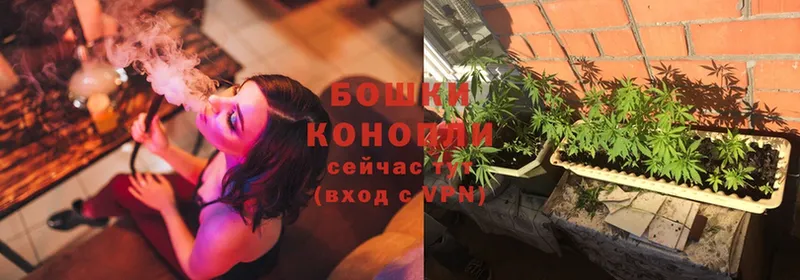 мега ссылка  купить наркотики цена  Талица  Бошки марихуана Amnesia 